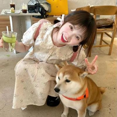 一个死气沉沉的夏天
